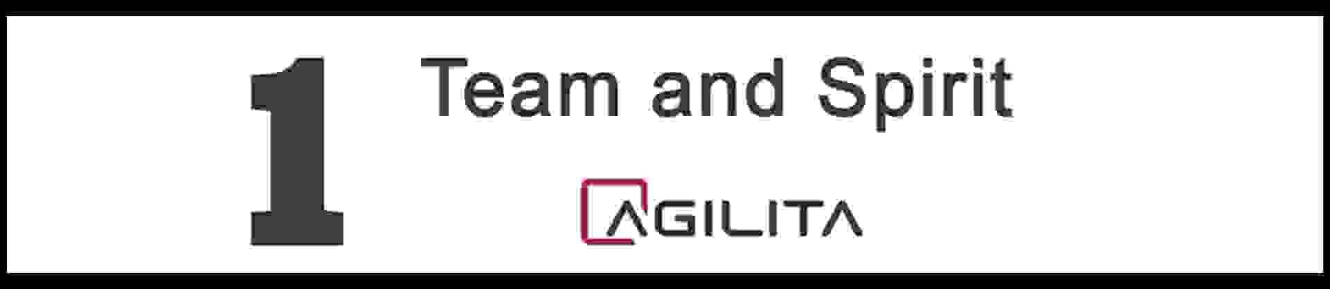 AGILITA  AG logo